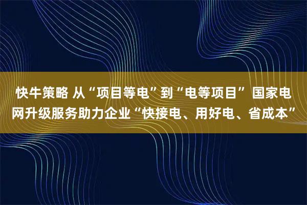 快牛策略 从“项目等电”到“电等项目” 国家电网升级服务助力企业“快接电、用好电、省成本”