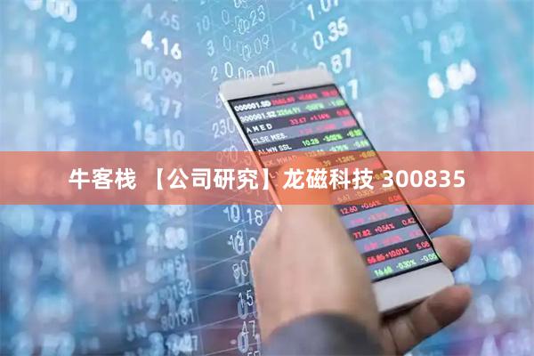 牛客栈 【公司研究】龙磁科技 300835