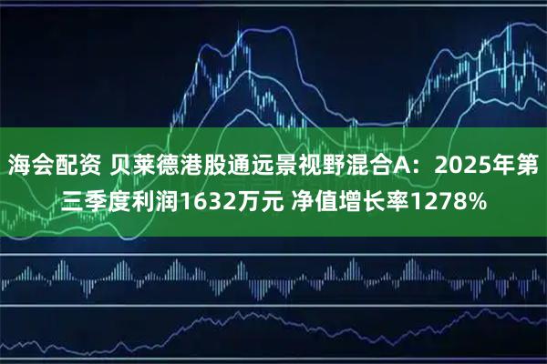 海会配资 贝莱德港股通远景视野混合A：2025年第三季度利润1632万元 净值增长率1278%